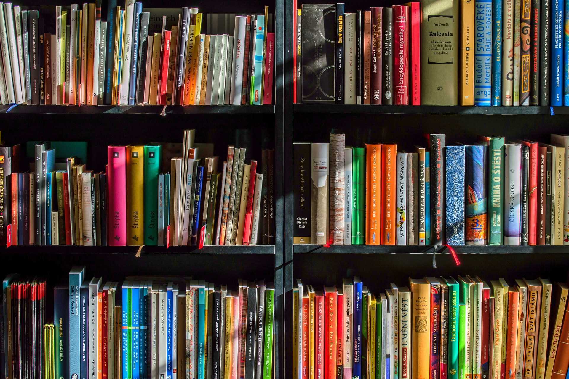 A photo of lots of colourful books on a bookshelf