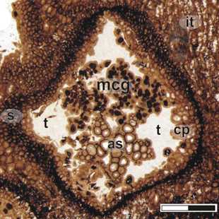 HFL-res3